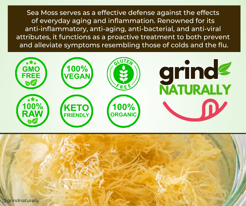 Sea Moss Energy Drink - 12oz