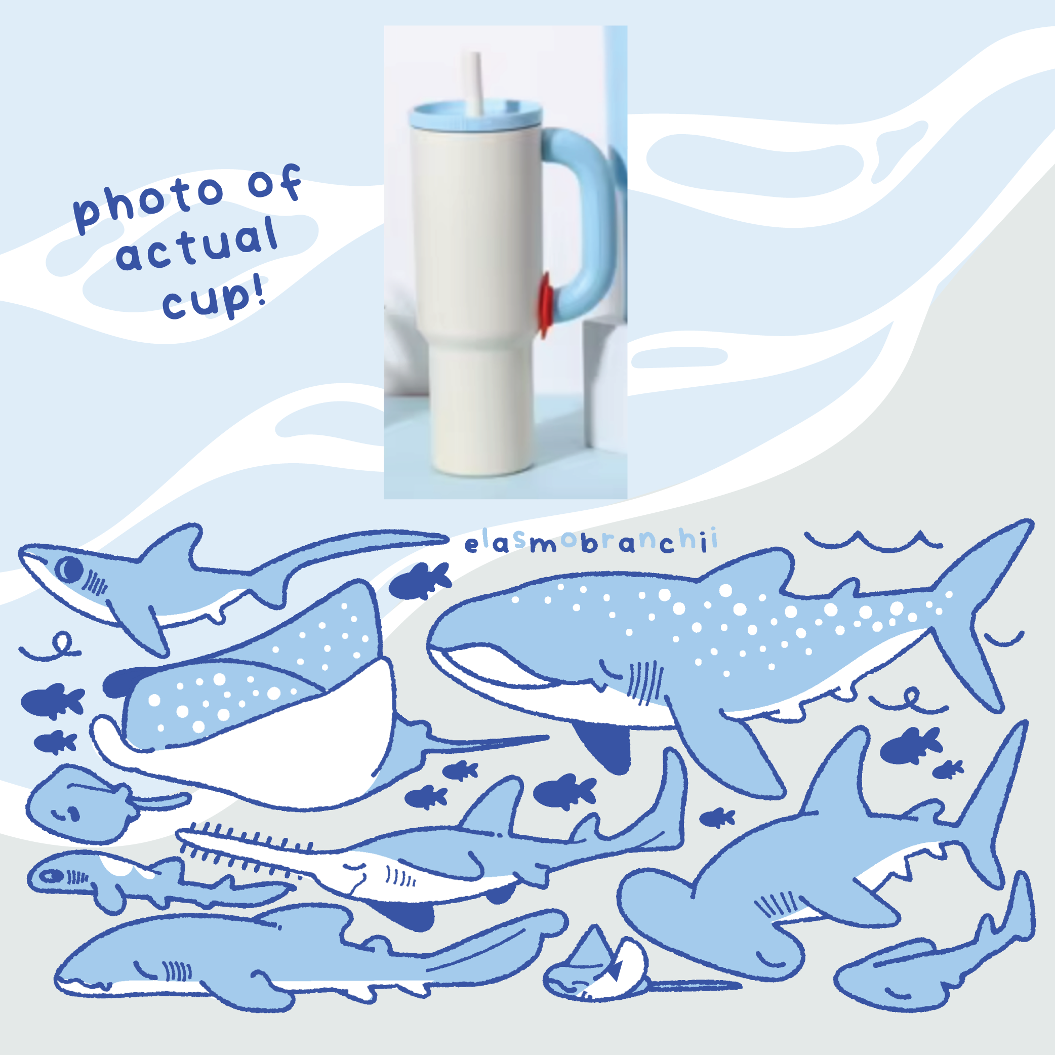 Elasmobranch Water Bottle